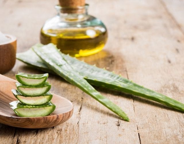 Ces 3 plantes alliées de notre beauté en été