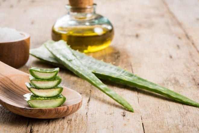 Ces 3 plantes alliées de notre beauté en été